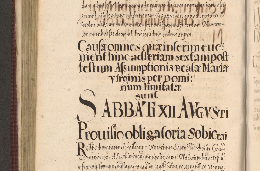 Zdjęcie nr 424 dla obiektu archiwalnego: Acta actorum causarum obligationum institutionum, decretorum, constitutionum, quietonum, resignonum, cessionum, accaeterarum, obseruonum tam iudicialium quam extraiudicialium coram Admondo Reverendo Domino Joanne Zerzynski Canonico, Vicario in Spiritualibus et Officiali generali Cracoviensis Iudice deputati per Illustrissimum ac Reverendissimum Dominum Martinum Szyszkowski Dei et Apostolice Sedis gratia Episcopum Cracoviensis ad Annum Domini Millesimum Sexcentesimum Decimum Septimum Indicatione quindecima Pontificus SS. D. N. D. Pauli Divina providentia Papae V. foeliciter moderni anno ipsus duodecimo continuantur