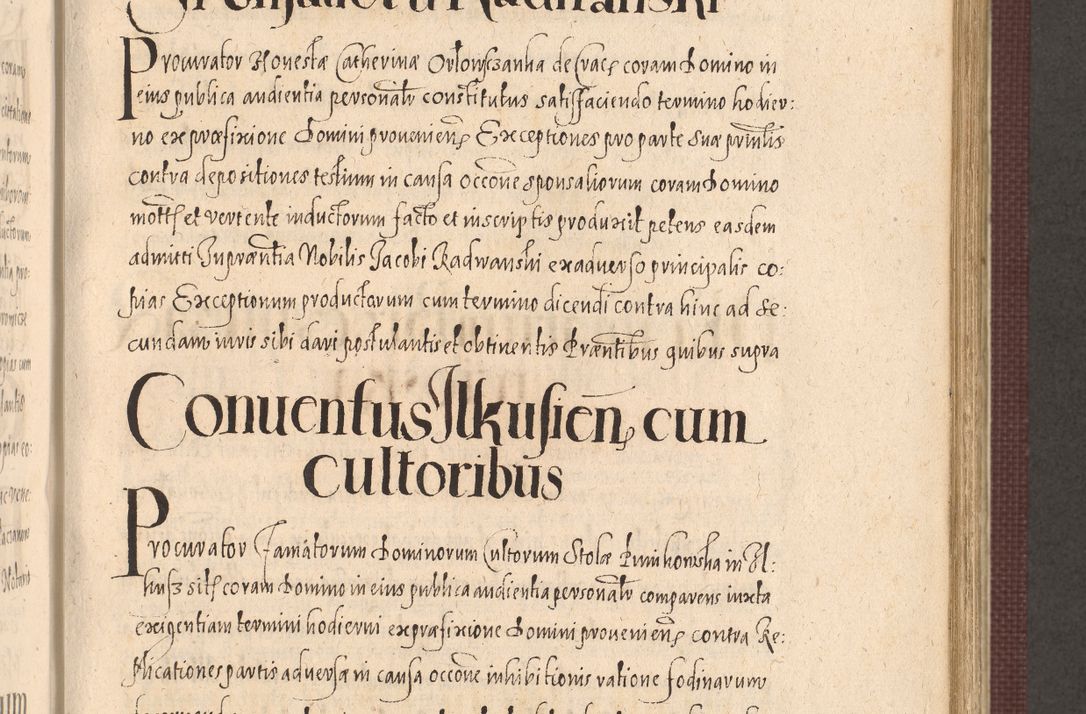 Zdjęcie nr 609 dla obiektu archiwalnego: Acta actorum causarum obligationum institutionum, decretorum, constitutionum, quietonum, resignonum, cessionum, accaeterarum, obseruonum tam iudicialium quam extraiudicialium coram Admondo Reverendo Domino Joanne Zerzynski Canonico, Vicario in Spiritualibus et Officiali generali Cracoviensis Iudice deputati per Illustrissimum ac Reverendissimum Dominum Martinum Szyszkowski Dei et Apostolice Sedis gratia Episcopum Cracoviensis ad Annum Domini Millesimum Sexcentesimum Decimum Septimum Indicatione quindecima Pontificus SS. D. N. D. Pauli Divina providentia Papae V. foeliciter moderni anno ipsus duodecimo continuantur