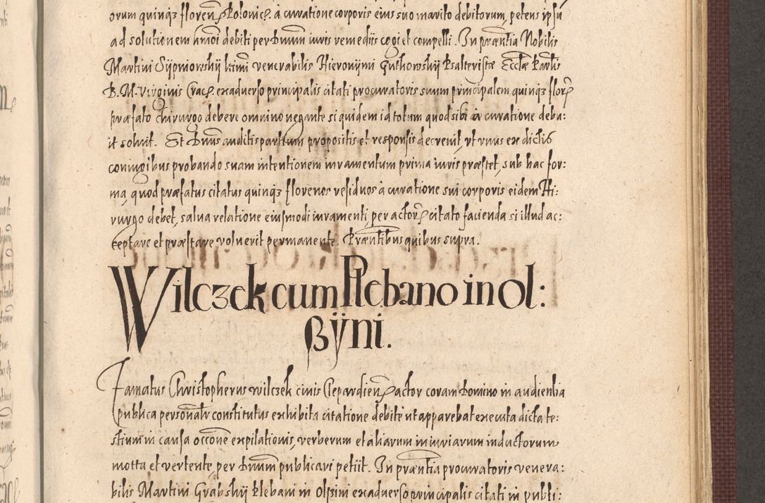 Zdjęcie nr 795 dla obiektu archiwalnego: Acta actorum causarum obligationum institutionum, decretorum, constitutionum, quietonum, resignonum, cessionum, accaeterarum, obseruonum tam iudicialium quam extraiudicialium coram Admondo Reverendo Domino Joanne Zerzynski Canonico, Vicario in Spiritualibus et Officiali generali Cracoviensis Iudice deputati per Illustrissimum ac Reverendissimum Dominum Martinum Szyszkowski Dei et Apostolice Sedis gratia Episcopum Cracoviensis ad Annum Domini Millesimum Sexcentesimum Decimum Septimum Indicatione quindecima Pontificus SS. D. N. D. Pauli Divina providentia Papae V. foeliciter moderni anno ipsus duodecimo continuantur