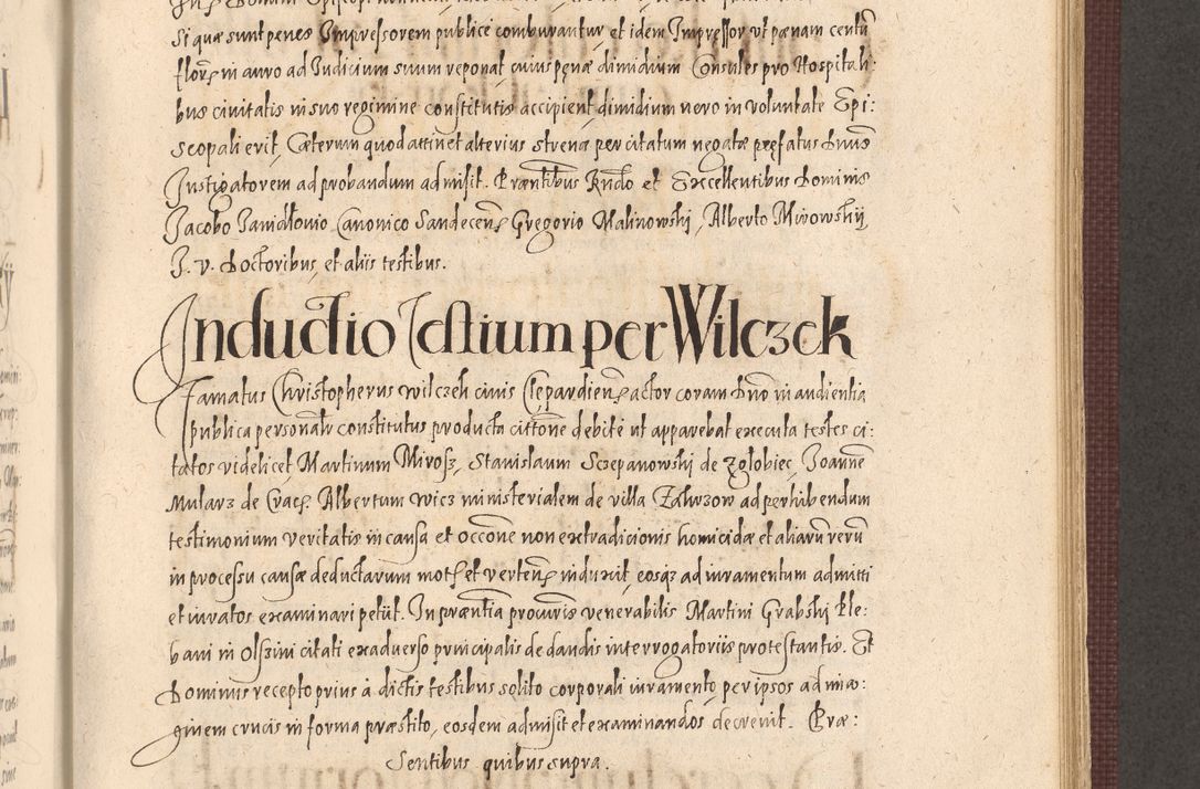 Zdjęcie nr 779 dla obiektu archiwalnego: Acta actorum causarum obligationum institutionum, decretorum, constitutionum, quietonum, resignonum, cessionum, accaeterarum, obseruonum tam iudicialium quam extraiudicialium coram Admondo Reverendo Domino Joanne Zerzynski Canonico, Vicario in Spiritualibus et Officiali generali Cracoviensis Iudice deputati per Illustrissimum ac Reverendissimum Dominum Martinum Szyszkowski Dei et Apostolice Sedis gratia Episcopum Cracoviensis ad Annum Domini Millesimum Sexcentesimum Decimum Septimum Indicatione quindecima Pontificus SS. D. N. D. Pauli Divina providentia Papae V. foeliciter moderni anno ipsus duodecimo continuantur