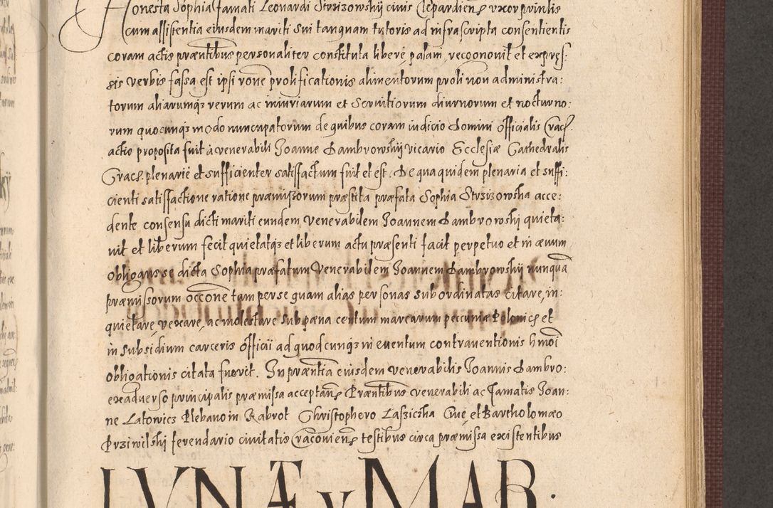 Zdjęcie nr 767 dla obiektu archiwalnego: Acta actorum causarum obligationum institutionum, decretorum, constitutionum, quietonum, resignonum, cessionum, accaeterarum, obseruonum tam iudicialium quam extraiudicialium coram Admondo Reverendo Domino Joanne Zerzynski Canonico, Vicario in Spiritualibus et Officiali generali Cracoviensis Iudice deputati per Illustrissimum ac Reverendissimum Dominum Martinum Szyszkowski Dei et Apostolice Sedis gratia Episcopum Cracoviensis ad Annum Domini Millesimum Sexcentesimum Decimum Septimum Indicatione quindecima Pontificus SS. D. N. D. Pauli Divina providentia Papae V. foeliciter moderni anno ipsus duodecimo continuantur