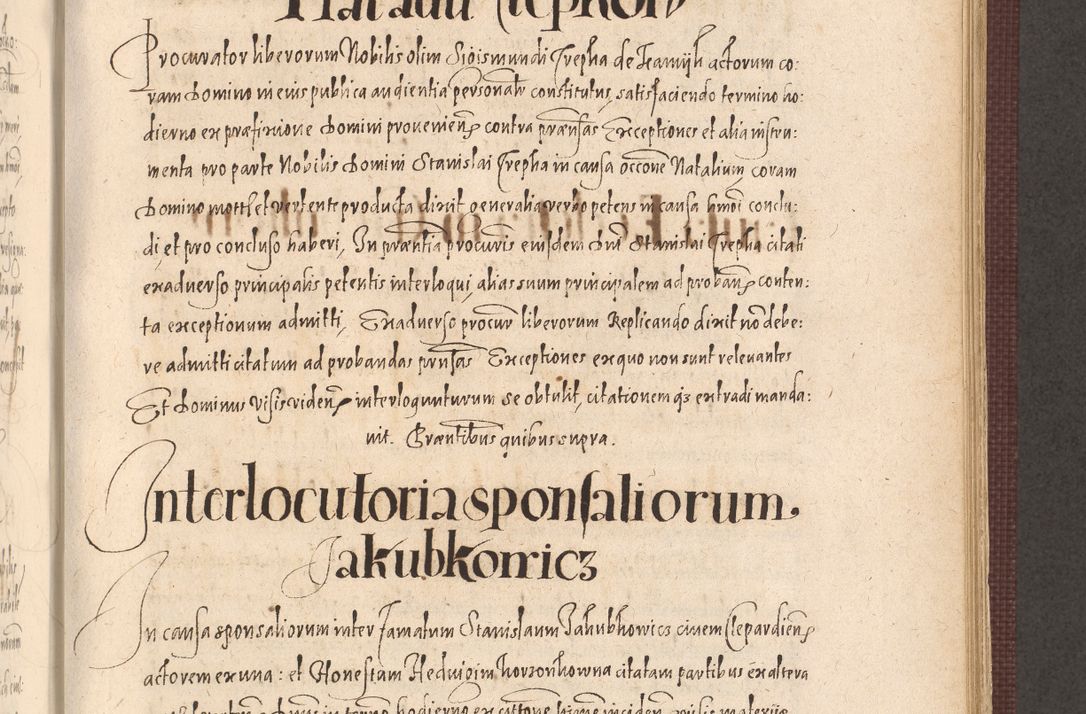 Zdjęcie nr 755 dla obiektu archiwalnego: Acta actorum causarum obligationum institutionum, decretorum, constitutionum, quietonum, resignonum, cessionum, accaeterarum, obseruonum tam iudicialium quam extraiudicialium coram Admondo Reverendo Domino Joanne Zerzynski Canonico, Vicario in Spiritualibus et Officiali generali Cracoviensis Iudice deputati per Illustrissimum ac Reverendissimum Dominum Martinum Szyszkowski Dei et Apostolice Sedis gratia Episcopum Cracoviensis ad Annum Domini Millesimum Sexcentesimum Decimum Septimum Indicatione quindecima Pontificus SS. D. N. D. Pauli Divina providentia Papae V. foeliciter moderni anno ipsus duodecimo continuantur