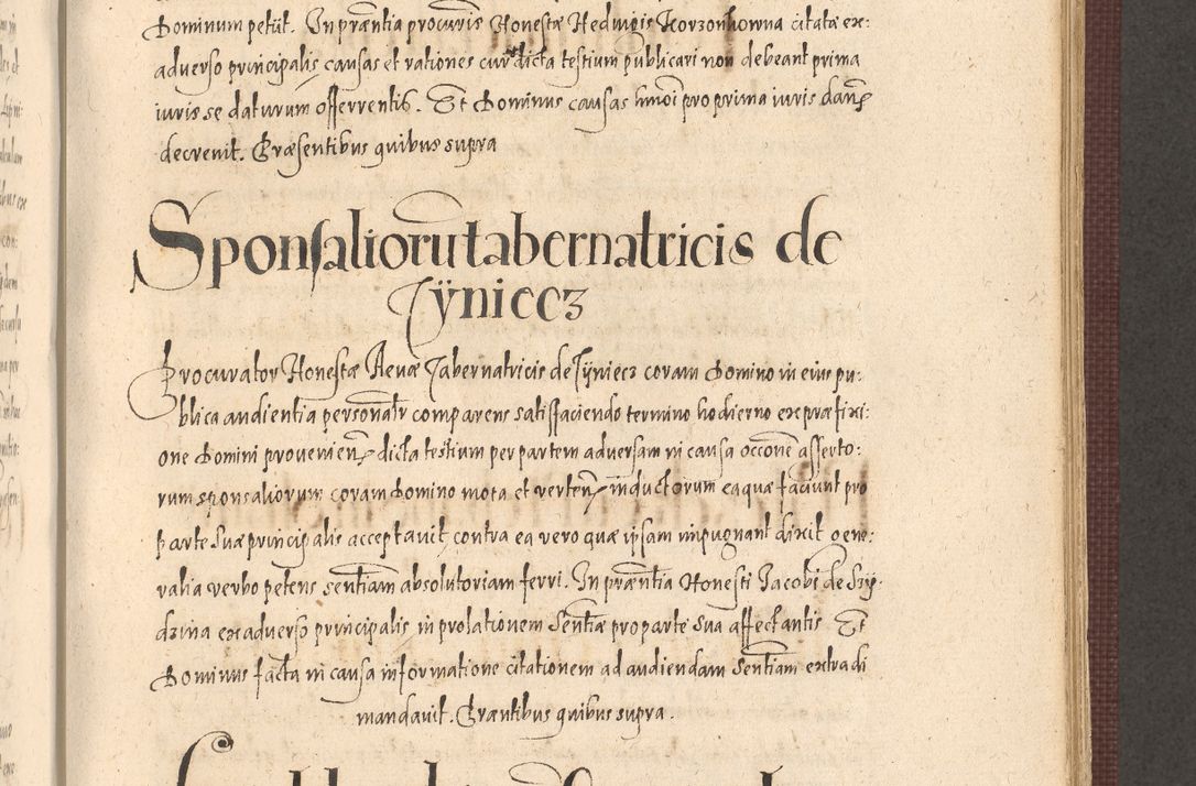 Zdjęcie nr 741 dla obiektu archiwalnego: Acta actorum causarum obligationum institutionum, decretorum, constitutionum, quietonum, resignonum, cessionum, accaeterarum, obseruonum tam iudicialium quam extraiudicialium coram Admondo Reverendo Domino Joanne Zerzynski Canonico, Vicario in Spiritualibus et Officiali generali Cracoviensis Iudice deputati per Illustrissimum ac Reverendissimum Dominum Martinum Szyszkowski Dei et Apostolice Sedis gratia Episcopum Cracoviensis ad Annum Domini Millesimum Sexcentesimum Decimum Septimum Indicatione quindecima Pontificus SS. D. N. D. Pauli Divina providentia Papae V. foeliciter moderni anno ipsus duodecimo continuantur