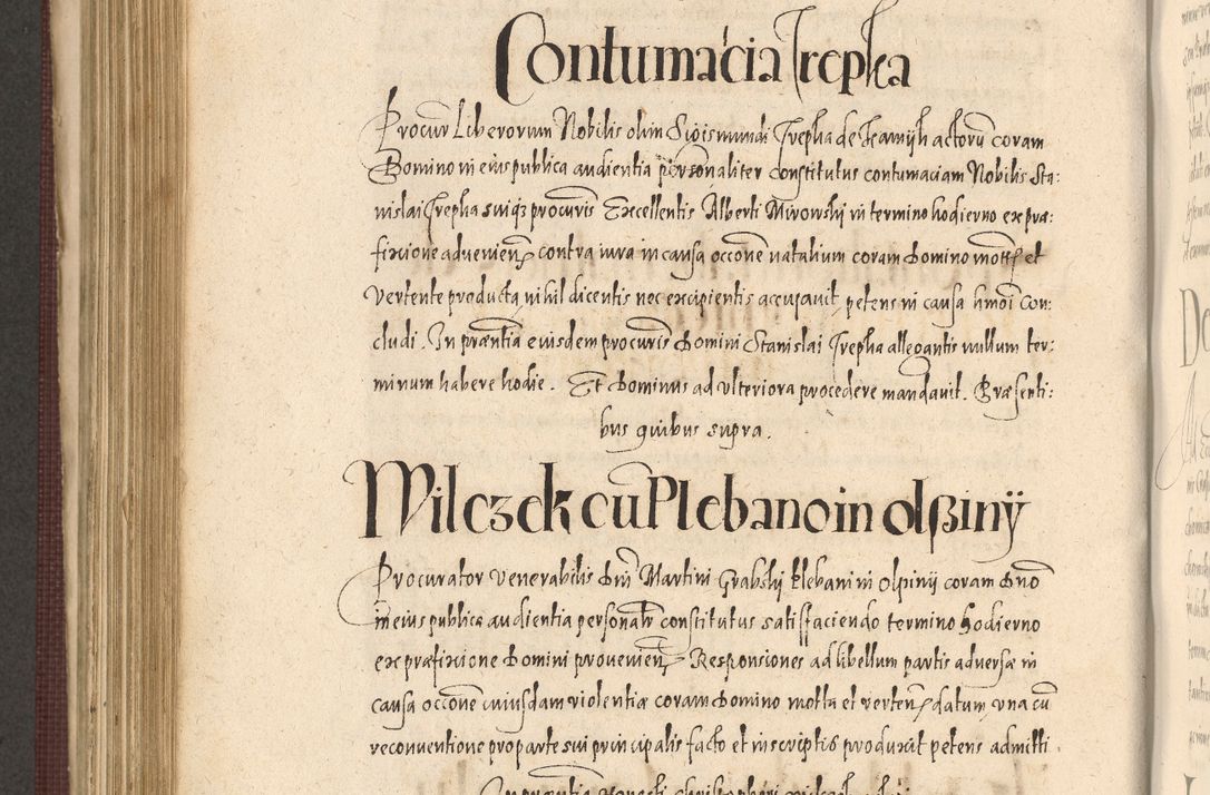 Zdjęcie nr 742 dla obiektu archiwalnego: Acta actorum causarum obligationum institutionum, decretorum, constitutionum, quietonum, resignonum, cessionum, accaeterarum, obseruonum tam iudicialium quam extraiudicialium coram Admondo Reverendo Domino Joanne Zerzynski Canonico, Vicario in Spiritualibus et Officiali generali Cracoviensis Iudice deputati per Illustrissimum ac Reverendissimum Dominum Martinum Szyszkowski Dei et Apostolice Sedis gratia Episcopum Cracoviensis ad Annum Domini Millesimum Sexcentesimum Decimum Septimum Indicatione quindecima Pontificus SS. D. N. D. Pauli Divina providentia Papae V. foeliciter moderni anno ipsus duodecimo continuantur