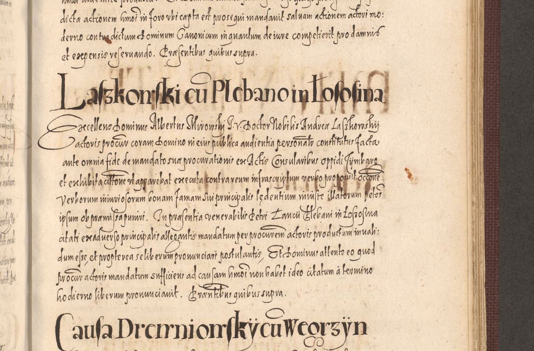 Zdjęcie nr 733 dla obiektu archiwalnego: Acta actorum causarum obligationum institutionum, decretorum, constitutionum, quietonum, resignonum, cessionum, accaeterarum, obseruonum tam iudicialium quam extraiudicialium coram Admondo Reverendo Domino Joanne Zerzynski Canonico, Vicario in Spiritualibus et Officiali generali Cracoviensis Iudice deputati per Illustrissimum ac Reverendissimum Dominum Martinum Szyszkowski Dei et Apostolice Sedis gratia Episcopum Cracoviensis ad Annum Domini Millesimum Sexcentesimum Decimum Septimum Indicatione quindecima Pontificus SS. D. N. D. Pauli Divina providentia Papae V. foeliciter moderni anno ipsus duodecimo continuantur