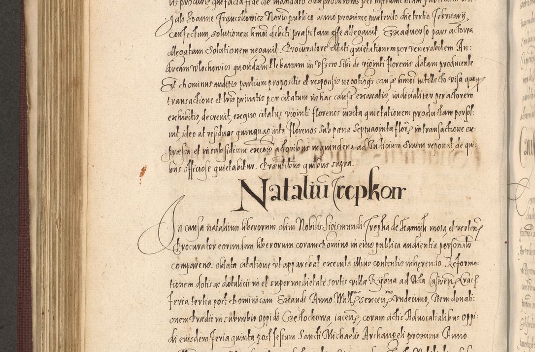 Zdjęcie nr 730 dla obiektu archiwalnego: Acta actorum causarum obligationum institutionum, decretorum, constitutionum, quietonum, resignonum, cessionum, accaeterarum, obseruonum tam iudicialium quam extraiudicialium coram Admondo Reverendo Domino Joanne Zerzynski Canonico, Vicario in Spiritualibus et Officiali generali Cracoviensis Iudice deputati per Illustrissimum ac Reverendissimum Dominum Martinum Szyszkowski Dei et Apostolice Sedis gratia Episcopum Cracoviensis ad Annum Domini Millesimum Sexcentesimum Decimum Septimum Indicatione quindecima Pontificus SS. D. N. D. Pauli Divina providentia Papae V. foeliciter moderni anno ipsus duodecimo continuantur