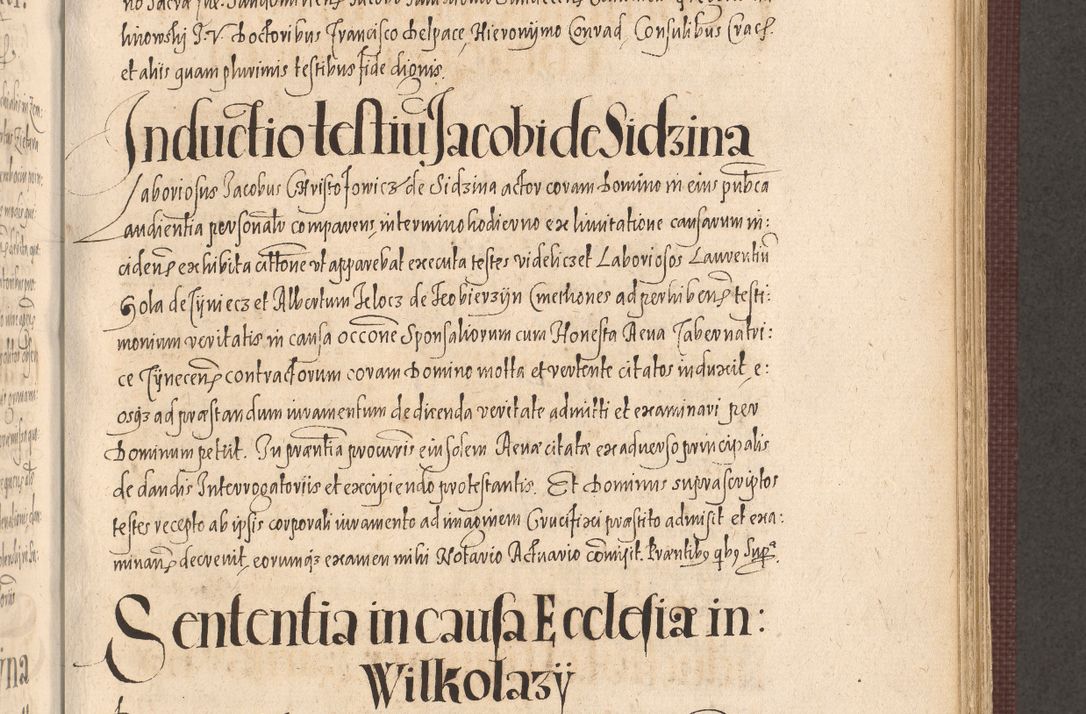 Zdjęcie nr 719 dla obiektu archiwalnego: Acta actorum causarum obligationum institutionum, decretorum, constitutionum, quietonum, resignonum, cessionum, accaeterarum, obseruonum tam iudicialium quam extraiudicialium coram Admondo Reverendo Domino Joanne Zerzynski Canonico, Vicario in Spiritualibus et Officiali generali Cracoviensis Iudice deputati per Illustrissimum ac Reverendissimum Dominum Martinum Szyszkowski Dei et Apostolice Sedis gratia Episcopum Cracoviensis ad Annum Domini Millesimum Sexcentesimum Decimum Septimum Indicatione quindecima Pontificus SS. D. N. D. Pauli Divina providentia Papae V. foeliciter moderni anno ipsus duodecimo continuantur