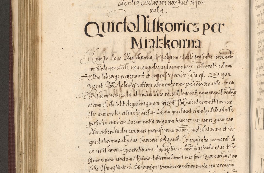 Zdjęcie nr 692 dla obiektu archiwalnego: Acta actorum causarum obligationum institutionum, decretorum, constitutionum, quietonum, resignonum, cessionum, accaeterarum, obseruonum tam iudicialium quam extraiudicialium coram Admondo Reverendo Domino Joanne Zerzynski Canonico, Vicario in Spiritualibus et Officiali generali Cracoviensis Iudice deputati per Illustrissimum ac Reverendissimum Dominum Martinum Szyszkowski Dei et Apostolice Sedis gratia Episcopum Cracoviensis ad Annum Domini Millesimum Sexcentesimum Decimum Septimum Indicatione quindecima Pontificus SS. D. N. D. Pauli Divina providentia Papae V. foeliciter moderni anno ipsus duodecimo continuantur