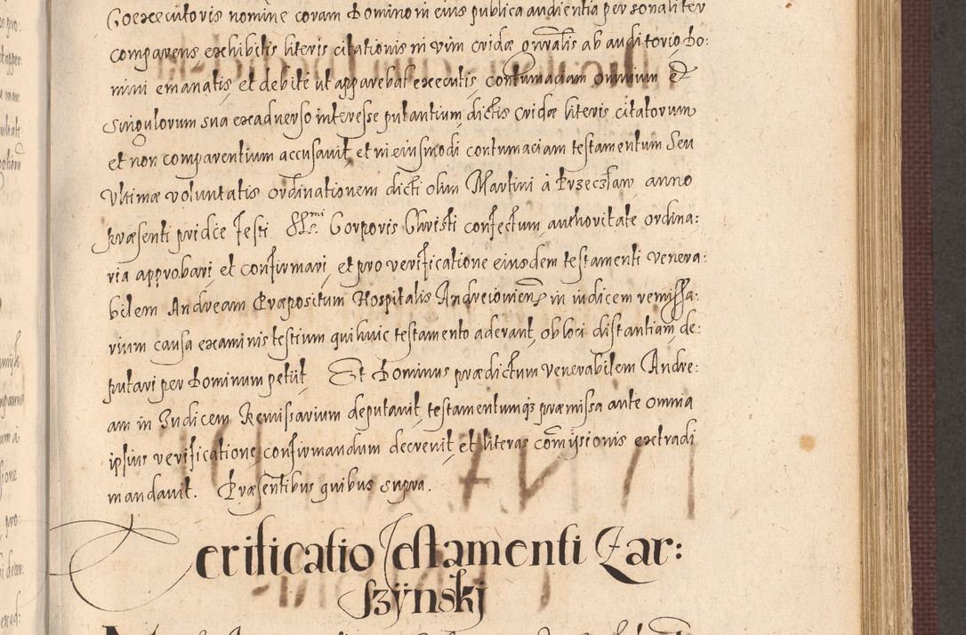Zdjęcie nr 651 dla obiektu archiwalnego: Acta actorum causarum obligationum institutionum, decretorum, constitutionum, quietonum, resignonum, cessionum, accaeterarum, obseruonum tam iudicialium quam extraiudicialium coram Admondo Reverendo Domino Joanne Zerzynski Canonico, Vicario in Spiritualibus et Officiali generali Cracoviensis Iudice deputati per Illustrissimum ac Reverendissimum Dominum Martinum Szyszkowski Dei et Apostolice Sedis gratia Episcopum Cracoviensis ad Annum Domini Millesimum Sexcentesimum Decimum Septimum Indicatione quindecima Pontificus SS. D. N. D. Pauli Divina providentia Papae V. foeliciter moderni anno ipsus duodecimo continuantur