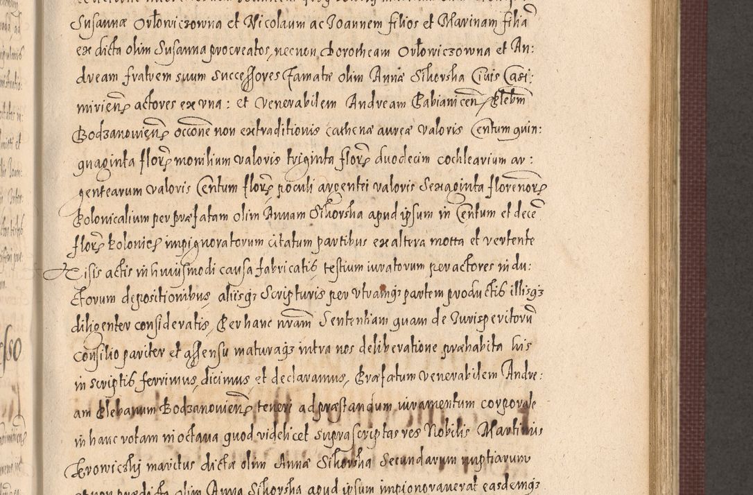Zdjęcie nr 639 dla obiektu archiwalnego: Acta actorum causarum obligationum institutionum, decretorum, constitutionum, quietonum, resignonum, cessionum, accaeterarum, obseruonum tam iudicialium quam extraiudicialium coram Admondo Reverendo Domino Joanne Zerzynski Canonico, Vicario in Spiritualibus et Officiali generali Cracoviensis Iudice deputati per Illustrissimum ac Reverendissimum Dominum Martinum Szyszkowski Dei et Apostolice Sedis gratia Episcopum Cracoviensis ad Annum Domini Millesimum Sexcentesimum Decimum Septimum Indicatione quindecima Pontificus SS. D. N. D. Pauli Divina providentia Papae V. foeliciter moderni anno ipsus duodecimo continuantur