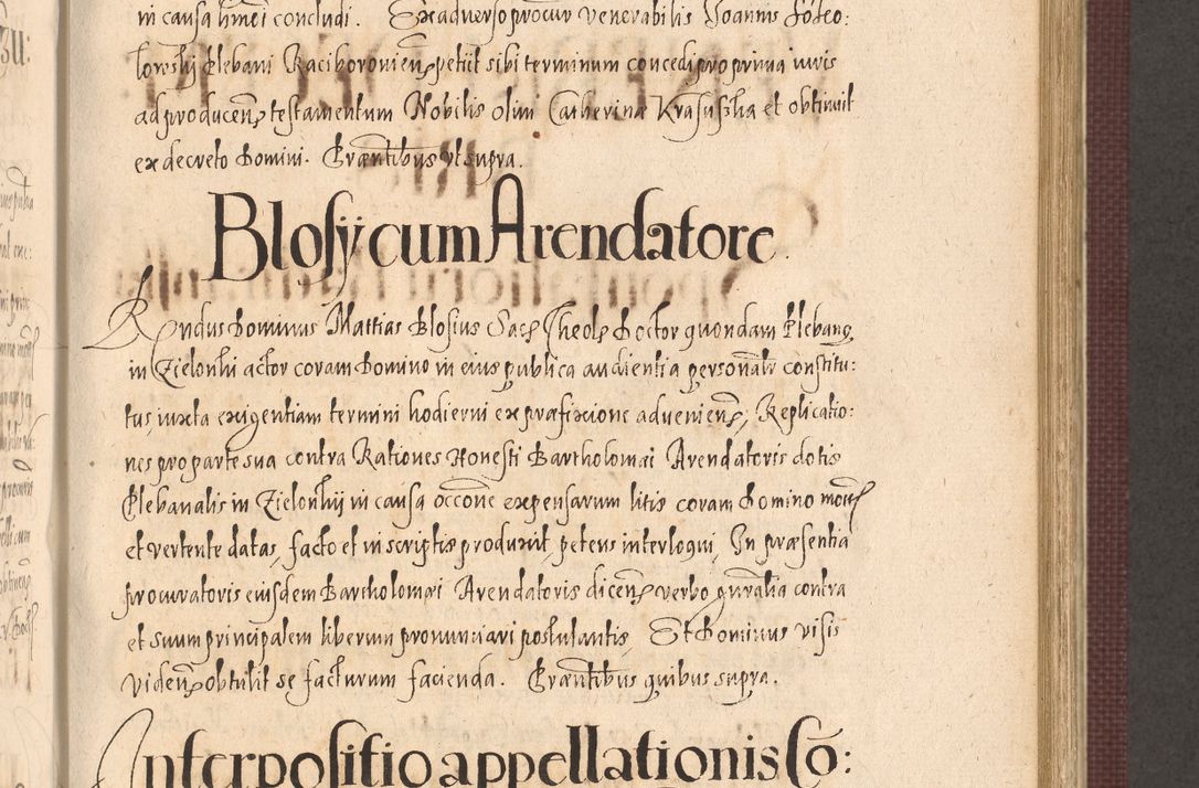 Zdjęcie nr 625 dla obiektu archiwalnego: Acta actorum causarum obligationum institutionum, decretorum, constitutionum, quietonum, resignonum, cessionum, accaeterarum, obseruonum tam iudicialium quam extraiudicialium coram Admondo Reverendo Domino Joanne Zerzynski Canonico, Vicario in Spiritualibus et Officiali generali Cracoviensis Iudice deputati per Illustrissimum ac Reverendissimum Dominum Martinum Szyszkowski Dei et Apostolice Sedis gratia Episcopum Cracoviensis ad Annum Domini Millesimum Sexcentesimum Decimum Septimum Indicatione quindecima Pontificus SS. D. N. D. Pauli Divina providentia Papae V. foeliciter moderni anno ipsus duodecimo continuantur