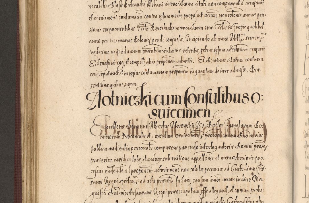 Zdjęcie nr 808 dla obiektu archiwalnego: Acta actorum causarum obligationum institutionum, decretorum, constitutionum, quietonum, resignonum, cessionum, accaeterarum, obseruonum tam iudicialium quam extraiudicialium coram Admondo Reverendo Domino Joanne Zerzynski Canonico, Vicario in Spiritualibus et Officiali generali Cracoviensis Iudice deputati per Illustrissimum ac Reverendissimum Dominum Martinum Szyszkowski Dei et Apostolice Sedis gratia Episcopum Cracoviensis ad Annum Domini Millesimum Sexcentesimum Decimum Septimum Indicatione quindecima Pontificus SS. D. N. D. Pauli Divina providentia Papae V. foeliciter moderni anno ipsus duodecimo continuantur