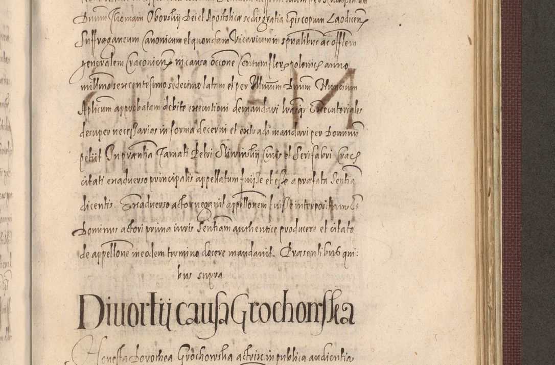 Zdjęcie nr 1093 dla obiektu archiwalnego: Acta actorum causarum obligationum institutionum, decretorum, constitutionum, quietonum, resignonum, cessionum, accaeterarum, obseruonum tam iudicialium quam extraiudicialium coram Admondo Reverendo Domino Joanne Zerzynski Canonico, Vicario in Spiritualibus et Officiali generali Cracoviensis Iudice deputati per Illustrissimum ac Reverendissimum Dominum Martinum Szyszkowski Dei et Apostolice Sedis gratia Episcopum Cracoviensis ad Annum Domini Millesimum Sexcentesimum Decimum Septimum Indicatione quindecima Pontificus SS. D. N. D. Pauli Divina providentia Papae V. foeliciter moderni anno ipsus duodecimo continuantur