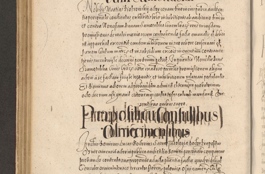 Zdjęcie nr 1062 dla obiektu archiwalnego: Acta actorum causarum obligationum institutionum, decretorum, constitutionum, quietonum, resignonum, cessionum, accaeterarum, obseruonum tam iudicialium quam extraiudicialium coram Admondo Reverendo Domino Joanne Zerzynski Canonico, Vicario in Spiritualibus et Officiali generali Cracoviensis Iudice deputati per Illustrissimum ac Reverendissimum Dominum Martinum Szyszkowski Dei et Apostolice Sedis gratia Episcopum Cracoviensis ad Annum Domini Millesimum Sexcentesimum Decimum Septimum Indicatione quindecima Pontificus SS. D. N. D. Pauli Divina providentia Papae V. foeliciter moderni anno ipsus duodecimo continuantur