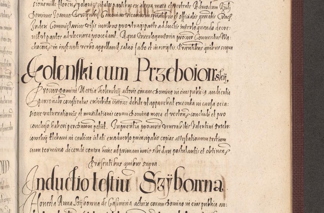 Zdjęcie nr 931 dla obiektu archiwalnego: Acta actorum causarum obligationum institutionum, decretorum, constitutionum, quietonum, resignonum, cessionum, accaeterarum, obseruonum tam iudicialium quam extraiudicialium coram Admondo Reverendo Domino Joanne Zerzynski Canonico, Vicario in Spiritualibus et Officiali generali Cracoviensis Iudice deputati per Illustrissimum ac Reverendissimum Dominum Martinum Szyszkowski Dei et Apostolice Sedis gratia Episcopum Cracoviensis ad Annum Domini Millesimum Sexcentesimum Decimum Septimum Indicatione quindecima Pontificus SS. D. N. D. Pauli Divina providentia Papae V. foeliciter moderni anno ipsus duodecimo continuantur