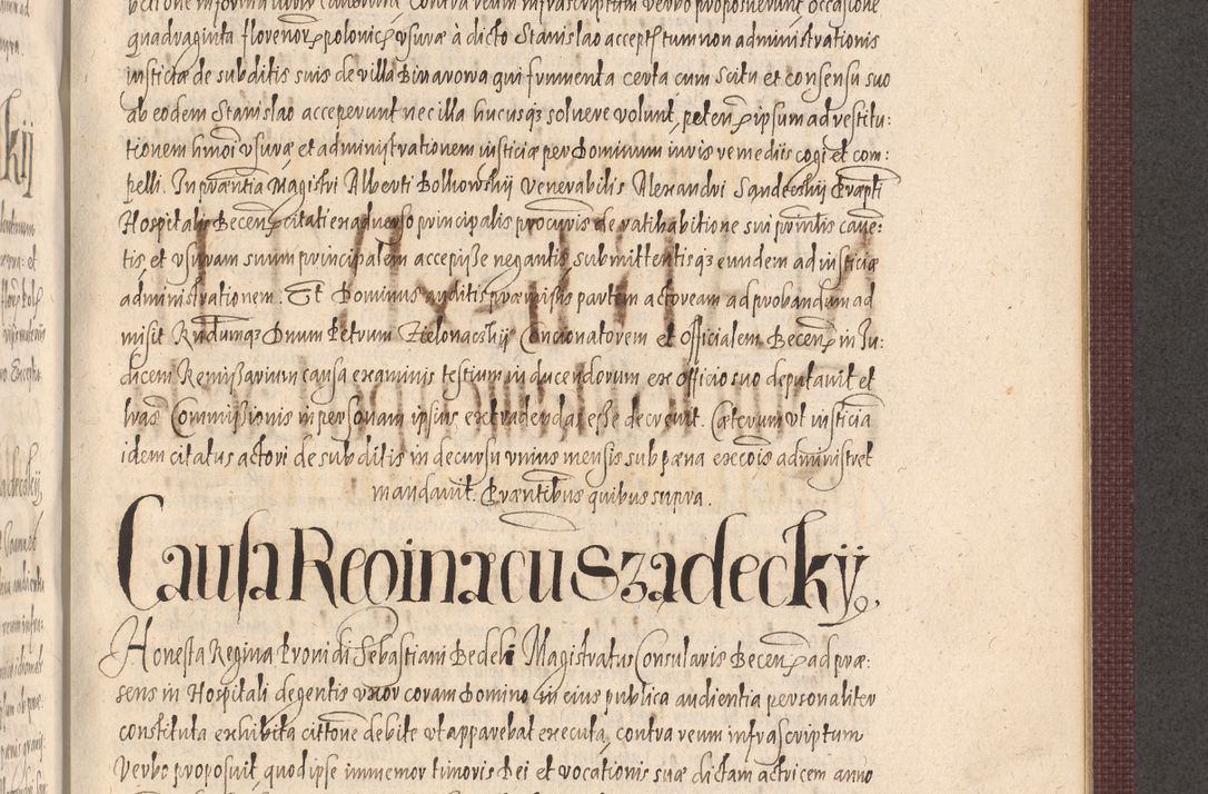 Zdjęcie nr 927 dla obiektu archiwalnego: Acta actorum causarum obligationum institutionum, decretorum, constitutionum, quietonum, resignonum, cessionum, accaeterarum, obseruonum tam iudicialium quam extraiudicialium coram Admondo Reverendo Domino Joanne Zerzynski Canonico, Vicario in Spiritualibus et Officiali generali Cracoviensis Iudice deputati per Illustrissimum ac Reverendissimum Dominum Martinum Szyszkowski Dei et Apostolice Sedis gratia Episcopum Cracoviensis ad Annum Domini Millesimum Sexcentesimum Decimum Septimum Indicatione quindecima Pontificus SS. D. N. D. Pauli Divina providentia Papae V. foeliciter moderni anno ipsus duodecimo continuantur