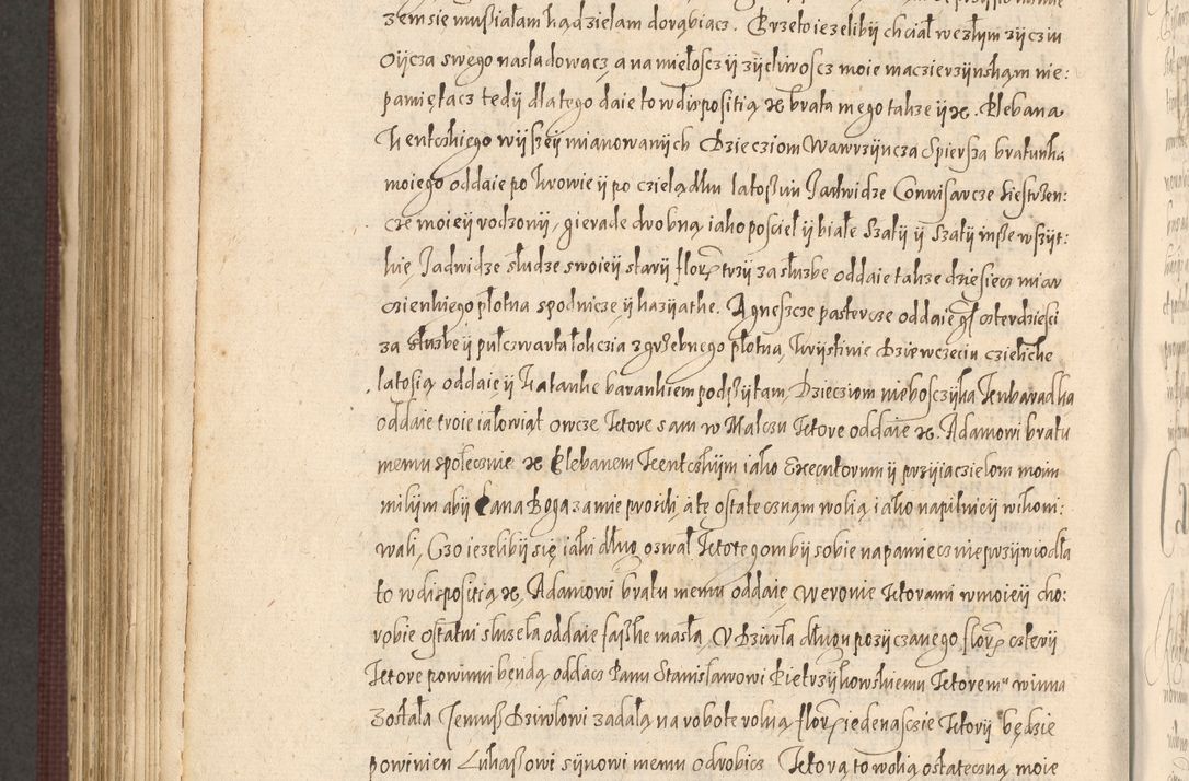 Zdjęcie nr 888 dla obiektu archiwalnego: Acta actorum causarum obligationum institutionum, decretorum, constitutionum, quietonum, resignonum, cessionum, accaeterarum, obseruonum tam iudicialium quam extraiudicialium coram Admondo Reverendo Domino Joanne Zerzynski Canonico, Vicario in Spiritualibus et Officiali generali Cracoviensis Iudice deputati per Illustrissimum ac Reverendissimum Dominum Martinum Szyszkowski Dei et Apostolice Sedis gratia Episcopum Cracoviensis ad Annum Domini Millesimum Sexcentesimum Decimum Septimum Indicatione quindecima Pontificus SS. D. N. D. Pauli Divina providentia Papae V. foeliciter moderni anno ipsus duodecimo continuantur