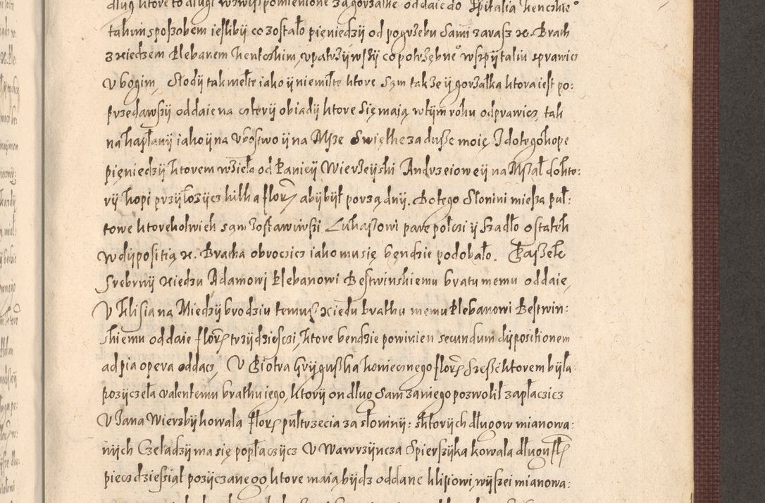 Zdjęcie nr 887 dla obiektu archiwalnego: Acta actorum causarum obligationum institutionum, decretorum, constitutionum, quietonum, resignonum, cessionum, accaeterarum, obseruonum tam iudicialium quam extraiudicialium coram Admondo Reverendo Domino Joanne Zerzynski Canonico, Vicario in Spiritualibus et Officiali generali Cracoviensis Iudice deputati per Illustrissimum ac Reverendissimum Dominum Martinum Szyszkowski Dei et Apostolice Sedis gratia Episcopum Cracoviensis ad Annum Domini Millesimum Sexcentesimum Decimum Septimum Indicatione quindecima Pontificus SS. D. N. D. Pauli Divina providentia Papae V. foeliciter moderni anno ipsus duodecimo continuantur