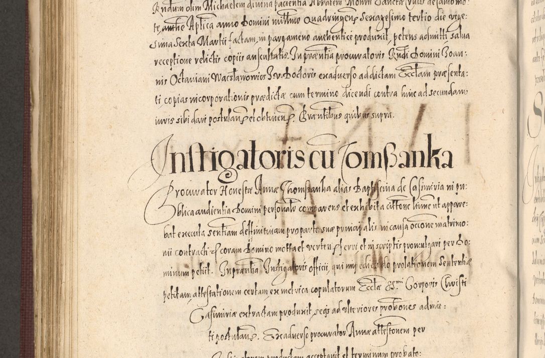 Zdjęcie nr 874 dla obiektu archiwalnego: Acta actorum causarum obligationum institutionum, decretorum, constitutionum, quietonum, resignonum, cessionum, accaeterarum, obseruonum tam iudicialium quam extraiudicialium coram Admondo Reverendo Domino Joanne Zerzynski Canonico, Vicario in Spiritualibus et Officiali generali Cracoviensis Iudice deputati per Illustrissimum ac Reverendissimum Dominum Martinum Szyszkowski Dei et Apostolice Sedis gratia Episcopum Cracoviensis ad Annum Domini Millesimum Sexcentesimum Decimum Septimum Indicatione quindecima Pontificus SS. D. N. D. Pauli Divina providentia Papae V. foeliciter moderni anno ipsus duodecimo continuantur