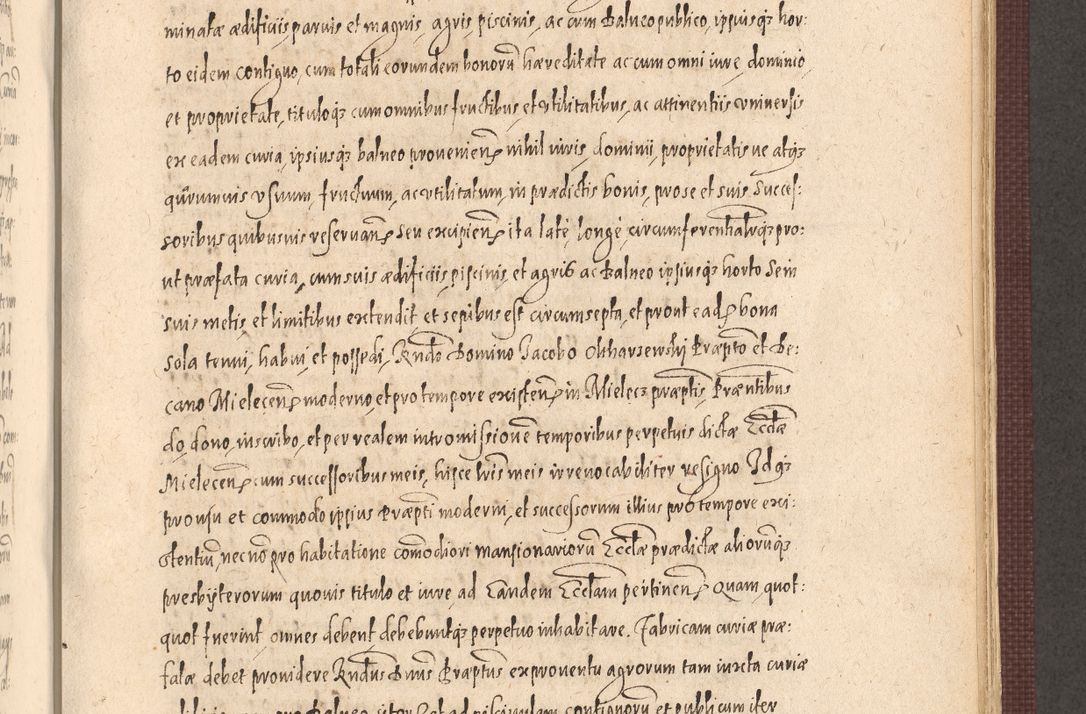 Zdjęcie nr 825 dla obiektu archiwalnego: Acta actorum causarum obligationum institutionum, decretorum, constitutionum, quietonum, resignonum, cessionum, accaeterarum, obseruonum tam iudicialium quam extraiudicialium coram Admondo Reverendo Domino Joanne Zerzynski Canonico, Vicario in Spiritualibus et Officiali generali Cracoviensis Iudice deputati per Illustrissimum ac Reverendissimum Dominum Martinum Szyszkowski Dei et Apostolice Sedis gratia Episcopum Cracoviensis ad Annum Domini Millesimum Sexcentesimum Decimum Septimum Indicatione quindecima Pontificus SS. D. N. D. Pauli Divina providentia Papae V. foeliciter moderni anno ipsus duodecimo continuantur