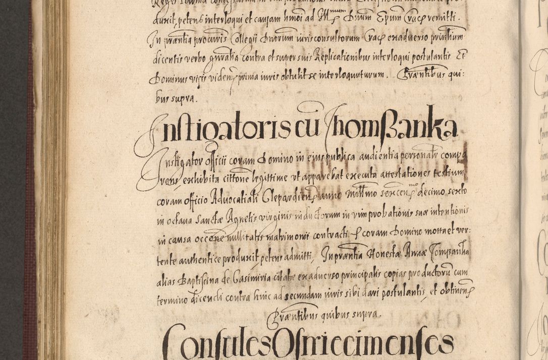Zdjęcie nr 822 dla obiektu archiwalnego: Acta actorum causarum obligationum institutionum, decretorum, constitutionum, quietonum, resignonum, cessionum, accaeterarum, obseruonum tam iudicialium quam extraiudicialium coram Admondo Reverendo Domino Joanne Zerzynski Canonico, Vicario in Spiritualibus et Officiali generali Cracoviensis Iudice deputati per Illustrissimum ac Reverendissimum Dominum Martinum Szyszkowski Dei et Apostolice Sedis gratia Episcopum Cracoviensis ad Annum Domini Millesimum Sexcentesimum Decimum Septimum Indicatione quindecima Pontificus SS. D. N. D. Pauli Divina providentia Papae V. foeliciter moderni anno ipsus duodecimo continuantur