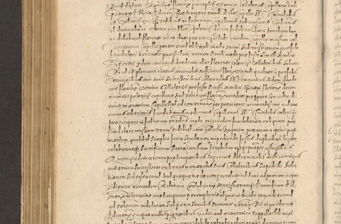 Zdjęcie nr 1262 dla obiektu archiwalnego: Acta actorum causarum obligationum institutionum, decretorum, constitutionum, quietonum, resignonum, cessionum, accaeterarum, obseruonum tam iudicialium quam extraiudicialium coram Admondo Reverendo Domino Joanne Zerzynski Canonico, Vicario in Spiritualibus et Officiali generali Cracoviensis Iudice deputati per Illustrissimum ac Reverendissimum Dominum Martinum Szyszkowski Dei et Apostolice Sedis gratia Episcopum Cracoviensis ad Annum Domini Millesimum Sexcentesimum Decimum Septimum Indicatione quindecima Pontificus SS. D. N. D. Pauli Divina providentia Papae V. foeliciter moderni anno ipsus duodecimo continuantur