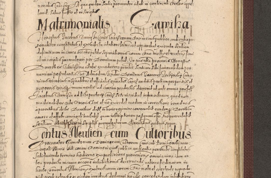 Zdjęcie nr 1233 dla obiektu archiwalnego: Acta actorum causarum obligationum institutionum, decretorum, constitutionum, quietonum, resignonum, cessionum, accaeterarum, obseruonum tam iudicialium quam extraiudicialium coram Admondo Reverendo Domino Joanne Zerzynski Canonico, Vicario in Spiritualibus et Officiali generali Cracoviensis Iudice deputati per Illustrissimum ac Reverendissimum Dominum Martinum Szyszkowski Dei et Apostolice Sedis gratia Episcopum Cracoviensis ad Annum Domini Millesimum Sexcentesimum Decimum Septimum Indicatione quindecima Pontificus SS. D. N. D. Pauli Divina providentia Papae V. foeliciter moderni anno ipsus duodecimo continuantur