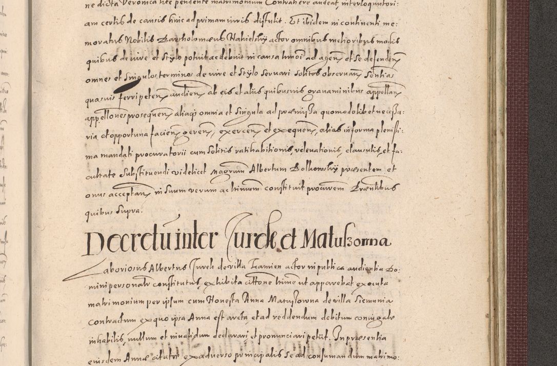 Zdjęcie nr 1311 dla obiektu archiwalnego: Acta actorum causarum obligationum institutionum, decretorum, constitutionum, quietonum, resignonum, cessionum, accaeterarum, obseruonum tam iudicialium quam extraiudicialium coram Admondo Reverendo Domino Joanne Zerzynski Canonico, Vicario in Spiritualibus et Officiali generali Cracoviensis Iudice deputati per Illustrissimum ac Reverendissimum Dominum Martinum Szyszkowski Dei et Apostolice Sedis gratia Episcopum Cracoviensis ad Annum Domini Millesimum Sexcentesimum Decimum Septimum Indicatione quindecima Pontificus SS. D. N. D. Pauli Divina providentia Papae V. foeliciter moderni anno ipsus duodecimo continuantur