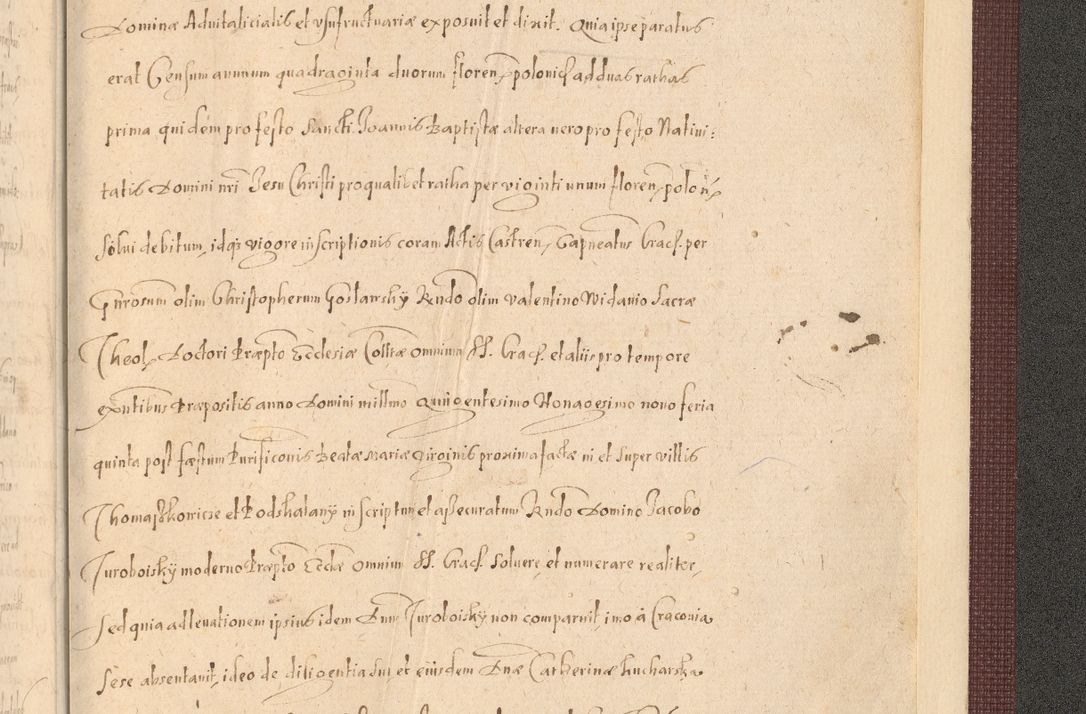 Zdjęcie nr 1563 dla obiektu archiwalnego: Acta actorum causarum obligationum institutionum, decretorum, constitutionum, quietonum, resignonum, cessionum, accaeterarum, obseruonum tam iudicialium quam extraiudicialium coram Admondo Reverendo Domino Joanne Zerzynski Canonico, Vicario in Spiritualibus et Officiali generali Cracoviensis Iudice deputati per Illustrissimum ac Reverendissimum Dominum Martinum Szyszkowski Dei et Apostolice Sedis gratia Episcopum Cracoviensis ad Annum Domini Millesimum Sexcentesimum Decimum Septimum Indicatione quindecima Pontificus SS. D. N. D. Pauli Divina providentia Papae V. foeliciter moderni anno ipsus duodecimo continuantur