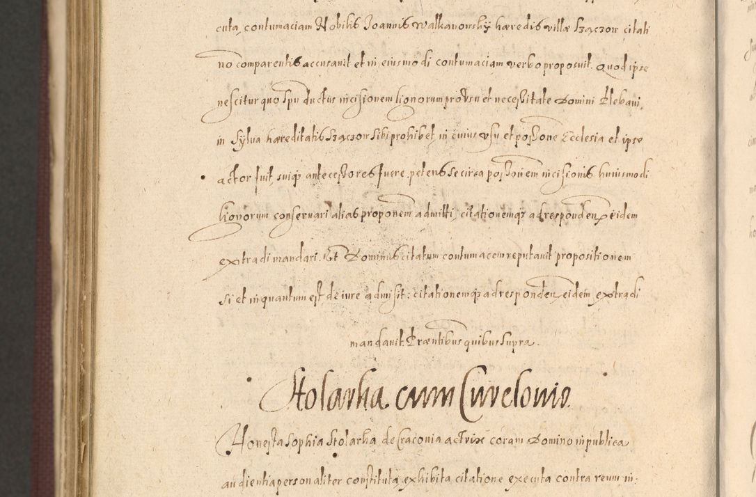 Zdjęcie nr 1534 dla obiektu archiwalnego: Acta actorum causarum obligationum institutionum, decretorum, constitutionum, quietonum, resignonum, cessionum, accaeterarum, obseruonum tam iudicialium quam extraiudicialium coram Admondo Reverendo Domino Joanne Zerzynski Canonico, Vicario in Spiritualibus et Officiali generali Cracoviensis Iudice deputati per Illustrissimum ac Reverendissimum Dominum Martinum Szyszkowski Dei et Apostolice Sedis gratia Episcopum Cracoviensis ad Annum Domini Millesimum Sexcentesimum Decimum Septimum Indicatione quindecima Pontificus SS. D. N. D. Pauli Divina providentia Papae V. foeliciter moderni anno ipsus duodecimo continuantur