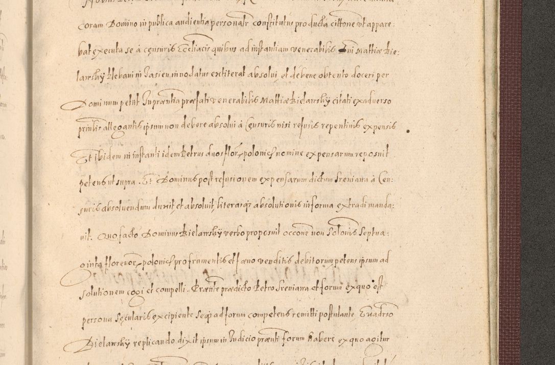 Zdjęcie nr 1519 dla obiektu archiwalnego: Acta actorum causarum obligationum institutionum, decretorum, constitutionum, quietonum, resignonum, cessionum, accaeterarum, obseruonum tam iudicialium quam extraiudicialium coram Admondo Reverendo Domino Joanne Zerzynski Canonico, Vicario in Spiritualibus et Officiali generali Cracoviensis Iudice deputati per Illustrissimum ac Reverendissimum Dominum Martinum Szyszkowski Dei et Apostolice Sedis gratia Episcopum Cracoviensis ad Annum Domini Millesimum Sexcentesimum Decimum Septimum Indicatione quindecima Pontificus SS. D. N. D. Pauli Divina providentia Papae V. foeliciter moderni anno ipsus duodecimo continuantur