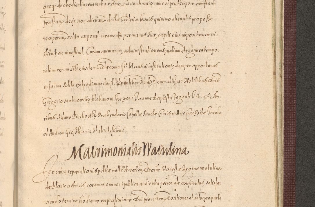 Zdjęcie nr 1515 dla obiektu archiwalnego: Acta actorum causarum obligationum institutionum, decretorum, constitutionum, quietonum, resignonum, cessionum, accaeterarum, obseruonum tam iudicialium quam extraiudicialium coram Admondo Reverendo Domino Joanne Zerzynski Canonico, Vicario in Spiritualibus et Officiali generali Cracoviensis Iudice deputati per Illustrissimum ac Reverendissimum Dominum Martinum Szyszkowski Dei et Apostolice Sedis gratia Episcopum Cracoviensis ad Annum Domini Millesimum Sexcentesimum Decimum Septimum Indicatione quindecima Pontificus SS. D. N. D. Pauli Divina providentia Papae V. foeliciter moderni anno ipsus duodecimo continuantur
