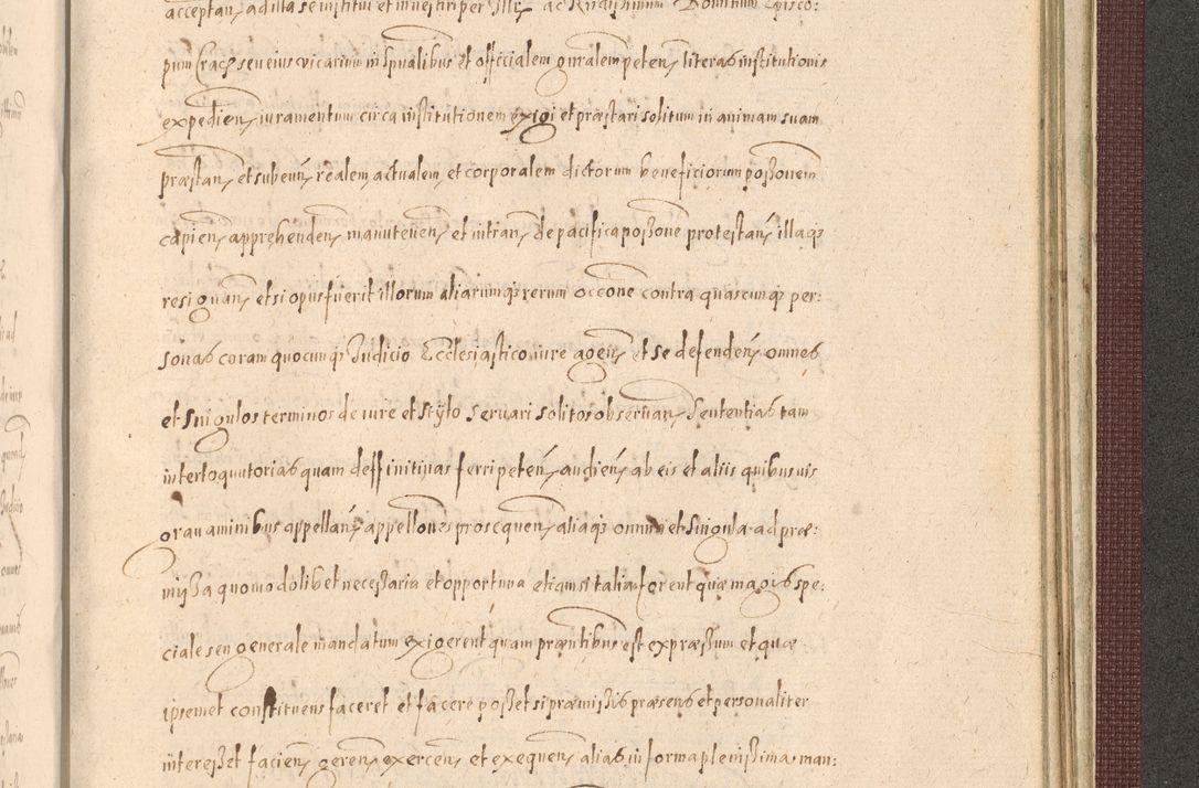 Zdjęcie nr 1451 dla obiektu archiwalnego: Acta actorum causarum obligationum institutionum, decretorum, constitutionum, quietonum, resignonum, cessionum, accaeterarum, obseruonum tam iudicialium quam extraiudicialium coram Admondo Reverendo Domino Joanne Zerzynski Canonico, Vicario in Spiritualibus et Officiali generali Cracoviensis Iudice deputati per Illustrissimum ac Reverendissimum Dominum Martinum Szyszkowski Dei et Apostolice Sedis gratia Episcopum Cracoviensis ad Annum Domini Millesimum Sexcentesimum Decimum Septimum Indicatione quindecima Pontificus SS. D. N. D. Pauli Divina providentia Papae V. foeliciter moderni anno ipsus duodecimo continuantur