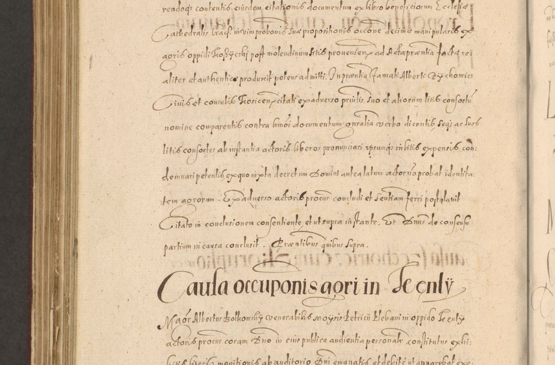 Zdjęcie nr 1418 dla obiektu archiwalnego: Acta actorum causarum obligationum institutionum, decretorum, constitutionum, quietonum, resignonum, cessionum, accaeterarum, obseruonum tam iudicialium quam extraiudicialium coram Admondo Reverendo Domino Joanne Zerzynski Canonico, Vicario in Spiritualibus et Officiali generali Cracoviensis Iudice deputati per Illustrissimum ac Reverendissimum Dominum Martinum Szyszkowski Dei et Apostolice Sedis gratia Episcopum Cracoviensis ad Annum Domini Millesimum Sexcentesimum Decimum Septimum Indicatione quindecima Pontificus SS. D. N. D. Pauli Divina providentia Papae V. foeliciter moderni anno ipsus duodecimo continuantur