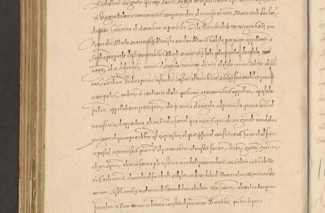 Zdjęcie nr 1398 dla obiektu archiwalnego: Acta actorum causarum obligationum institutionum, decretorum, constitutionum, quietonum, resignonum, cessionum, accaeterarum, obseruonum tam iudicialium quam extraiudicialium coram Admondo Reverendo Domino Joanne Zerzynski Canonico, Vicario in Spiritualibus et Officiali generali Cracoviensis Iudice deputati per Illustrissimum ac Reverendissimum Dominum Martinum Szyszkowski Dei et Apostolice Sedis gratia Episcopum Cracoviensis ad Annum Domini Millesimum Sexcentesimum Decimum Septimum Indicatione quindecima Pontificus SS. D. N. D. Pauli Divina providentia Papae V. foeliciter moderni anno ipsus duodecimo continuantur
