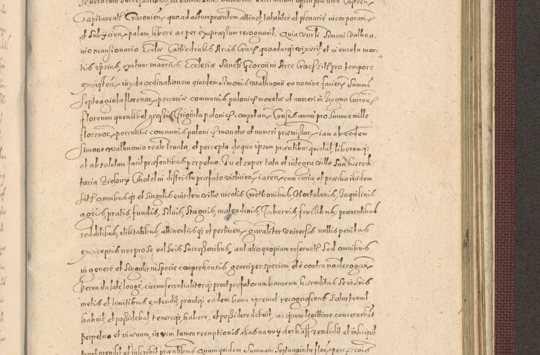 Zdjęcie nr 1367 dla obiektu archiwalnego: Acta actorum causarum obligationum institutionum, decretorum, constitutionum, quietonum, resignonum, cessionum, accaeterarum, obseruonum tam iudicialium quam extraiudicialium coram Admondo Reverendo Domino Joanne Zerzynski Canonico, Vicario in Spiritualibus et Officiali generali Cracoviensis Iudice deputati per Illustrissimum ac Reverendissimum Dominum Martinum Szyszkowski Dei et Apostolice Sedis gratia Episcopum Cracoviensis ad Annum Domini Millesimum Sexcentesimum Decimum Septimum Indicatione quindecima Pontificus SS. D. N. D. Pauli Divina providentia Papae V. foeliciter moderni anno ipsus duodecimo continuantur