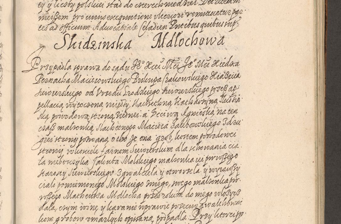 Zdjęcie nr 228 dla obiektu archiwalnego: Acta foris saecularis coram R. D. Bernardo Maciejowski, episcopo Cracoviensi, duce Severiensis ex annis 1600 - 1606.