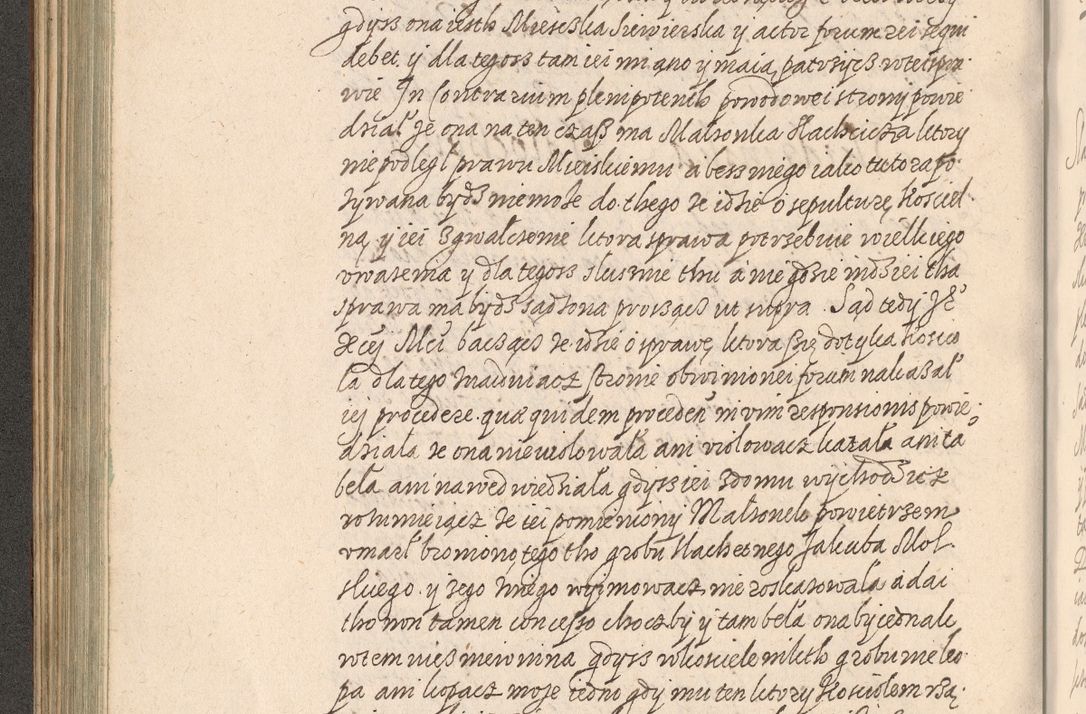 Zdjęcie nr 229 dla obiektu archiwalnego: Acta foris saecularis coram R. D. Bernardo Maciejowski, episcopo Cracoviensi, duce Severiensis ex annis 1600 - 1606.