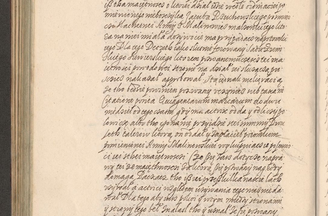 Zdjęcie nr 219 dla obiektu archiwalnego: Acta foris saecularis coram R. D. Bernardo Maciejowski, episcopo Cracoviensi, duce Severiensis ex annis 1600 - 1606.