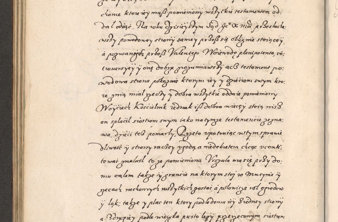 Zdjęcie nr 119 dla obiektu archiwalnego: Acta foris saecularis coram R. D. Bernardo Maciejowski, episcopo Cracoviensi, duce Severiensis ex annis 1600 - 1606.