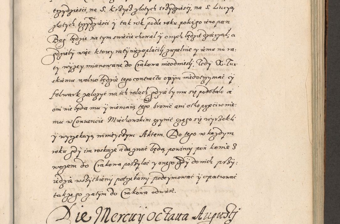 Zdjęcie nr 118 dla obiektu archiwalnego: Acta foris saecularis coram R. D. Bernardo Maciejowski, episcopo Cracoviensi, duce Severiensis ex annis 1600 - 1606.