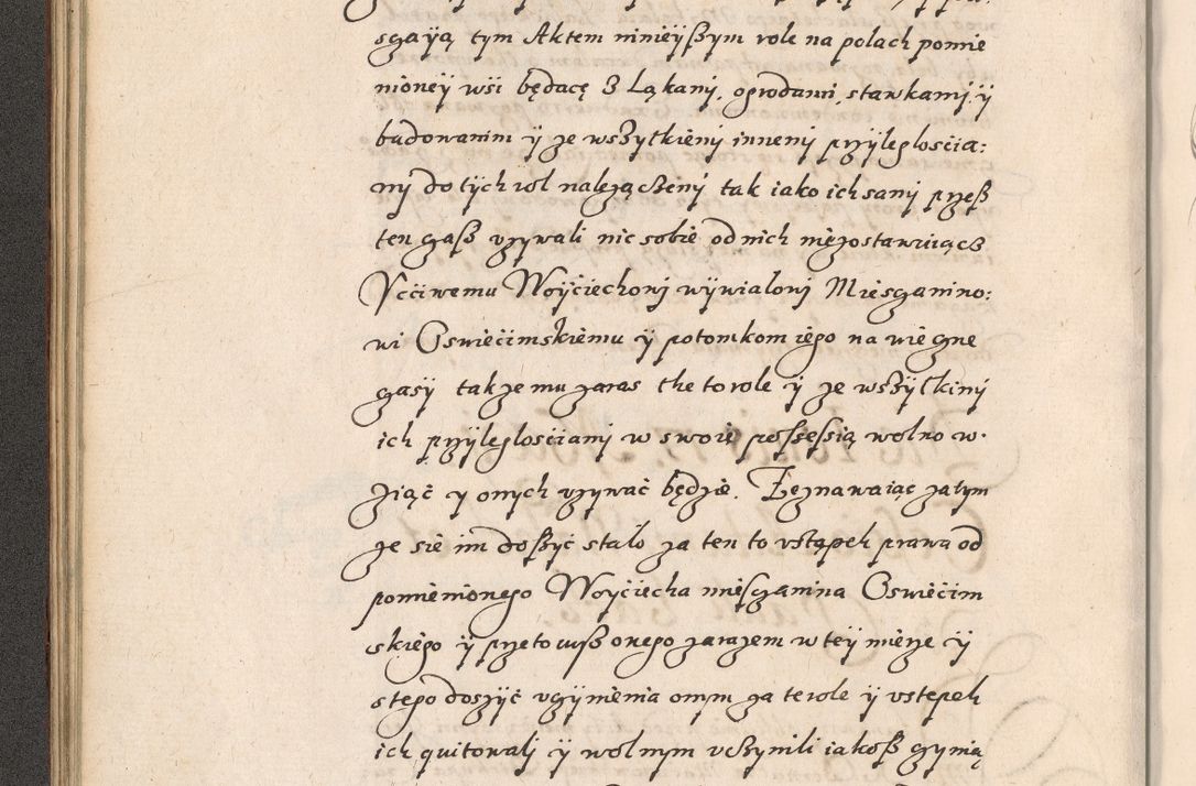 Zdjęcie nr 91 dla obiektu archiwalnego: Acta foris saecularis coram R. D. Bernardo Maciejowski, episcopo Cracoviensi, duce Severiensis ex annis 1600 - 1606.