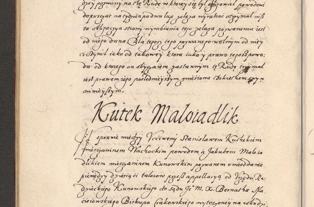 Zdjęcie nr 49 dla obiektu archiwalnego: Acta foris saecularis coram R. D. Bernardo Maciejowski, episcopo Cracoviensi, duce Severiensis ex annis 1600 - 1606.