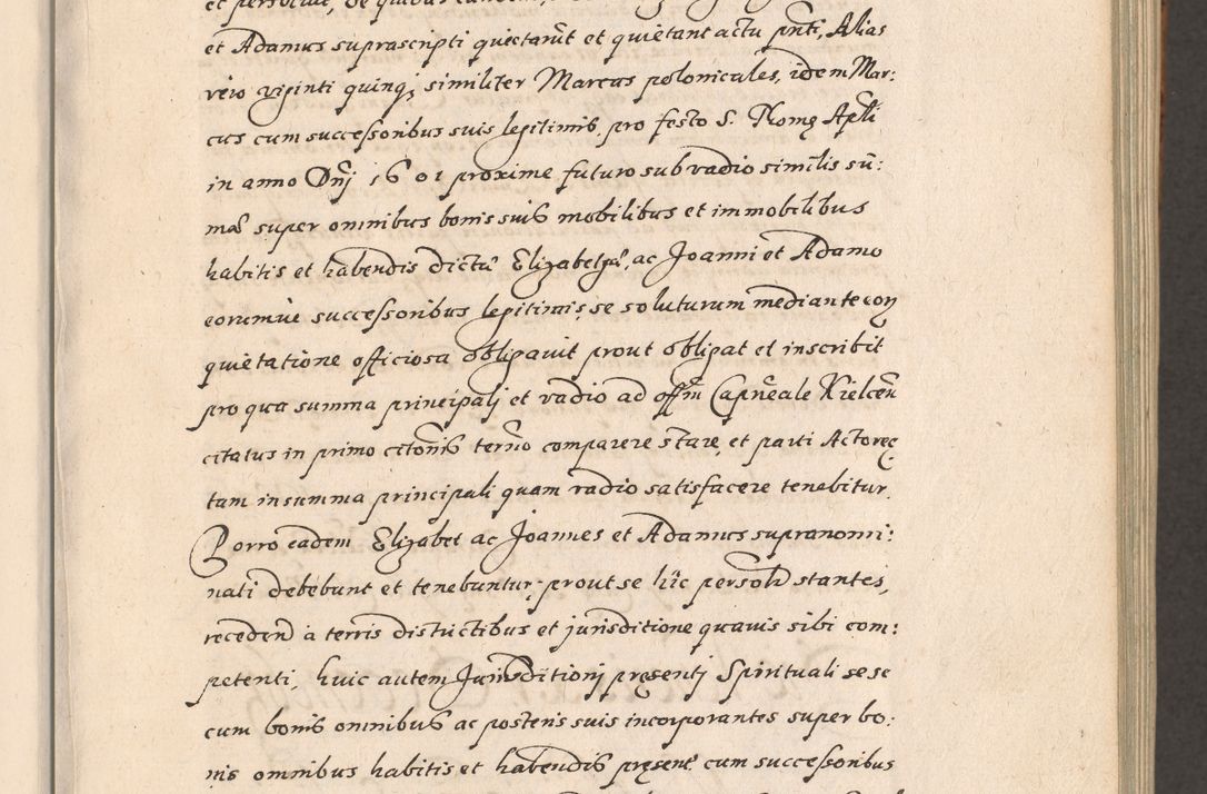 Zdjęcie nr 44 dla obiektu archiwalnego: Acta foris saecularis coram R. D. Bernardo Maciejowski, episcopo Cracoviensi, duce Severiensis ex annis 1600 - 1606.