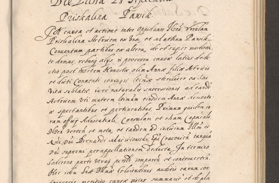 Zdjęcie nr 324 dla obiektu archiwalnego: Acta foris saecularis coram R. D. Bernardo Maciejowski, episcopo Cracoviensi, duce Severiensis ex annis 1600 - 1606.