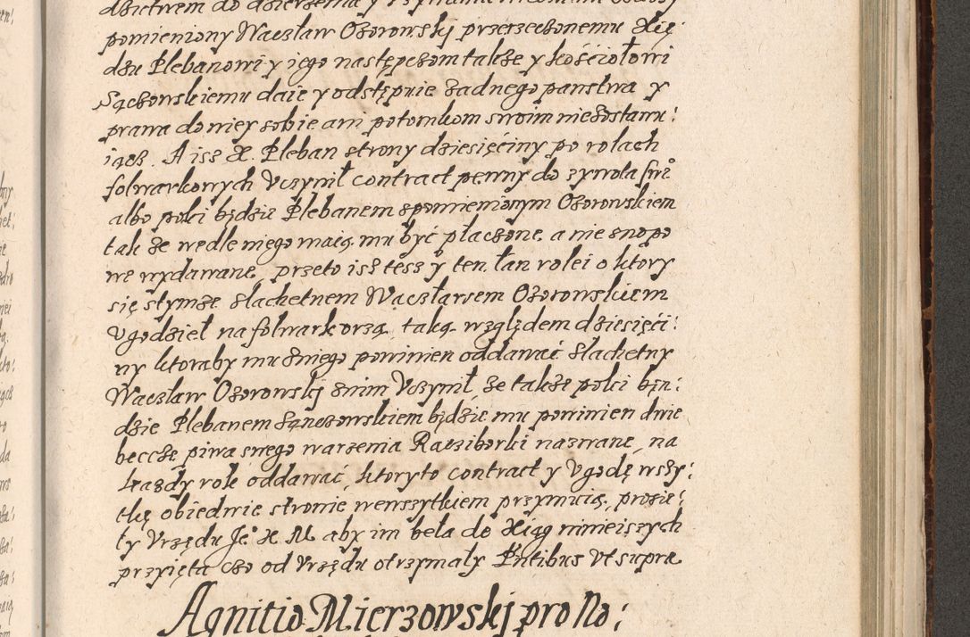 Zdjęcie nr 800 dla obiektu archiwalnego: Acta foris saecularis coram R. D. Bernardo Maciejowski, episcopo Cracoviensi, duce Severiensis ex annis 1600 - 1606.