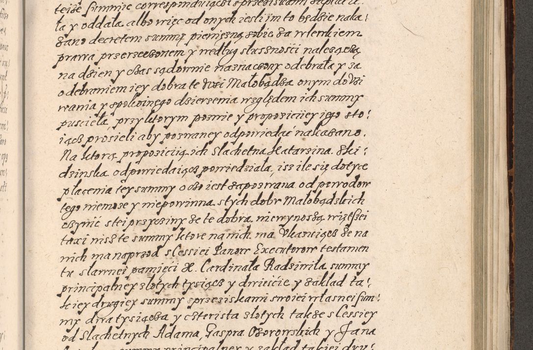 Zdjęcie nr 794 dla obiektu archiwalnego: Acta foris saecularis coram R. D. Bernardo Maciejowski, episcopo Cracoviensi, duce Severiensis ex annis 1600 - 1606.