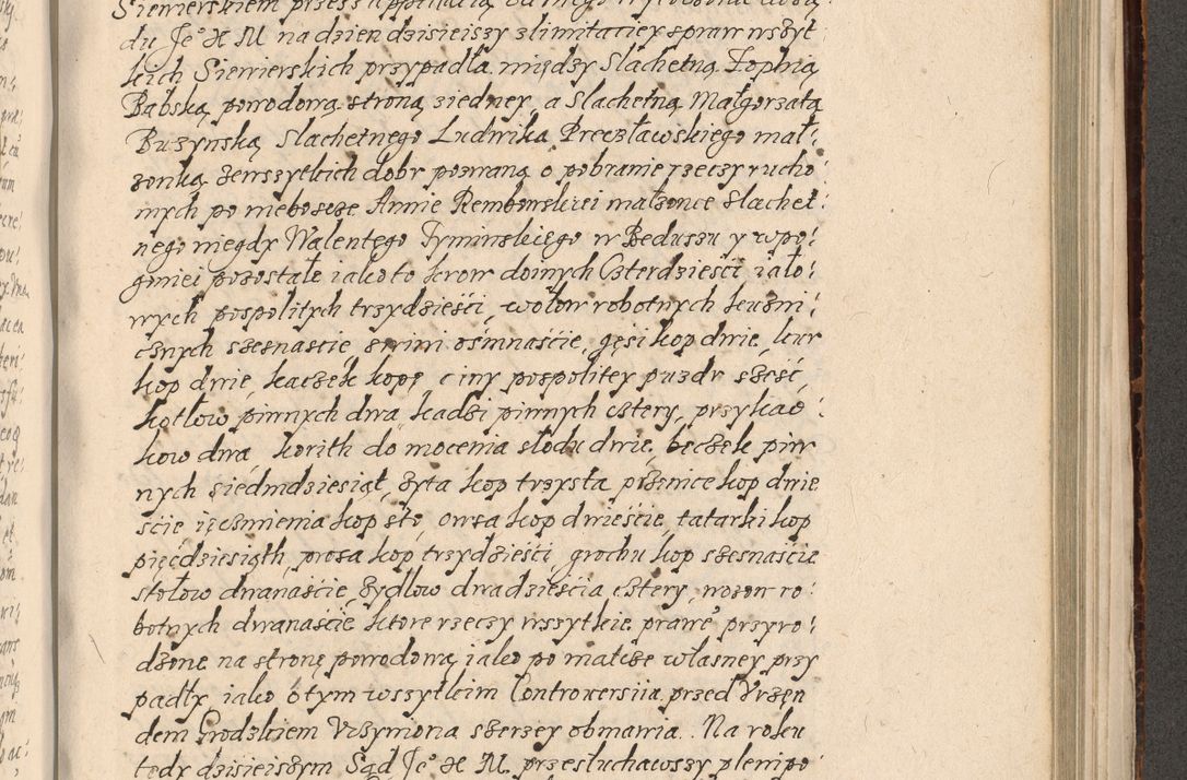 Zdjęcie nr 774 dla obiektu archiwalnego: Acta foris saecularis coram R. D. Bernardo Maciejowski, episcopo Cracoviensi, duce Severiensis ex annis 1600 - 1606.