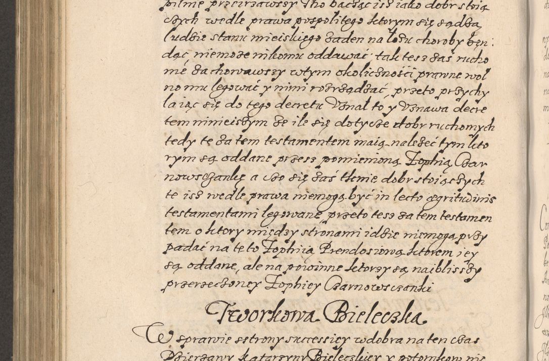 Zdjęcie nr 737 dla obiektu archiwalnego: Acta foris saecularis coram R. D. Bernardo Maciejowski, episcopo Cracoviensi, duce Severiensis ex annis 1600 - 1606.