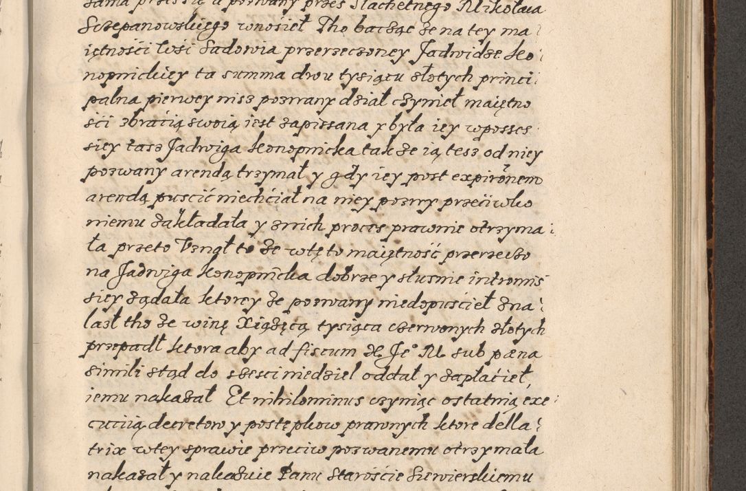 Zdjęcie nr 716 dla obiektu archiwalnego: Acta foris saecularis coram R. D. Bernardo Maciejowski, episcopo Cracoviensi, duce Severiensis ex annis 1600 - 1606.